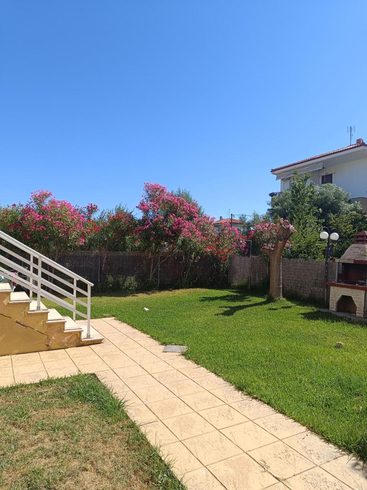 Dimar1 Seaside Apartment パラリア・ディオニショウ エクステリア 写真